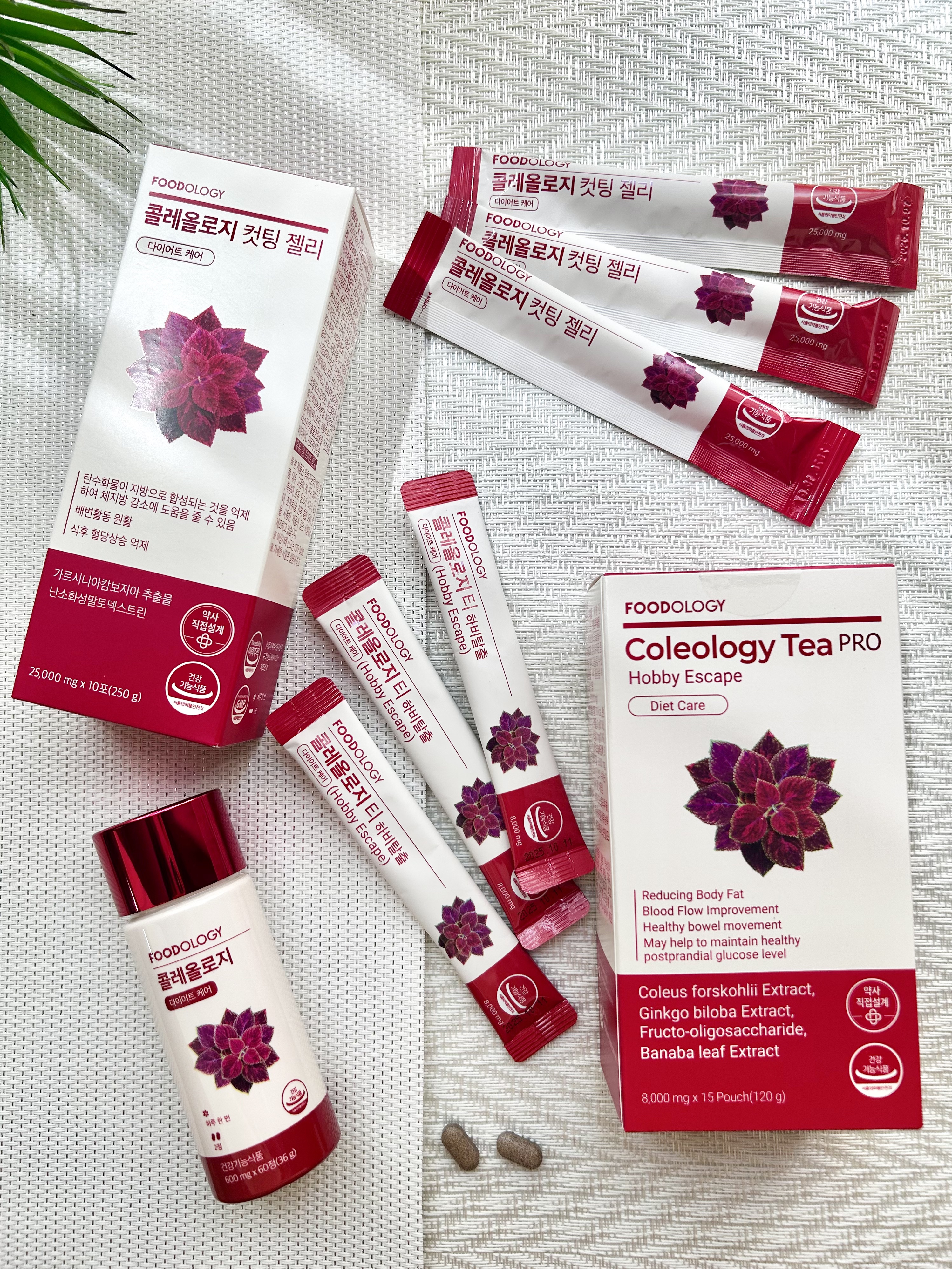 コレオロジーティーPRO/FOODOLOGY/健康サプリメントを使ったクチコミ（1枚目）