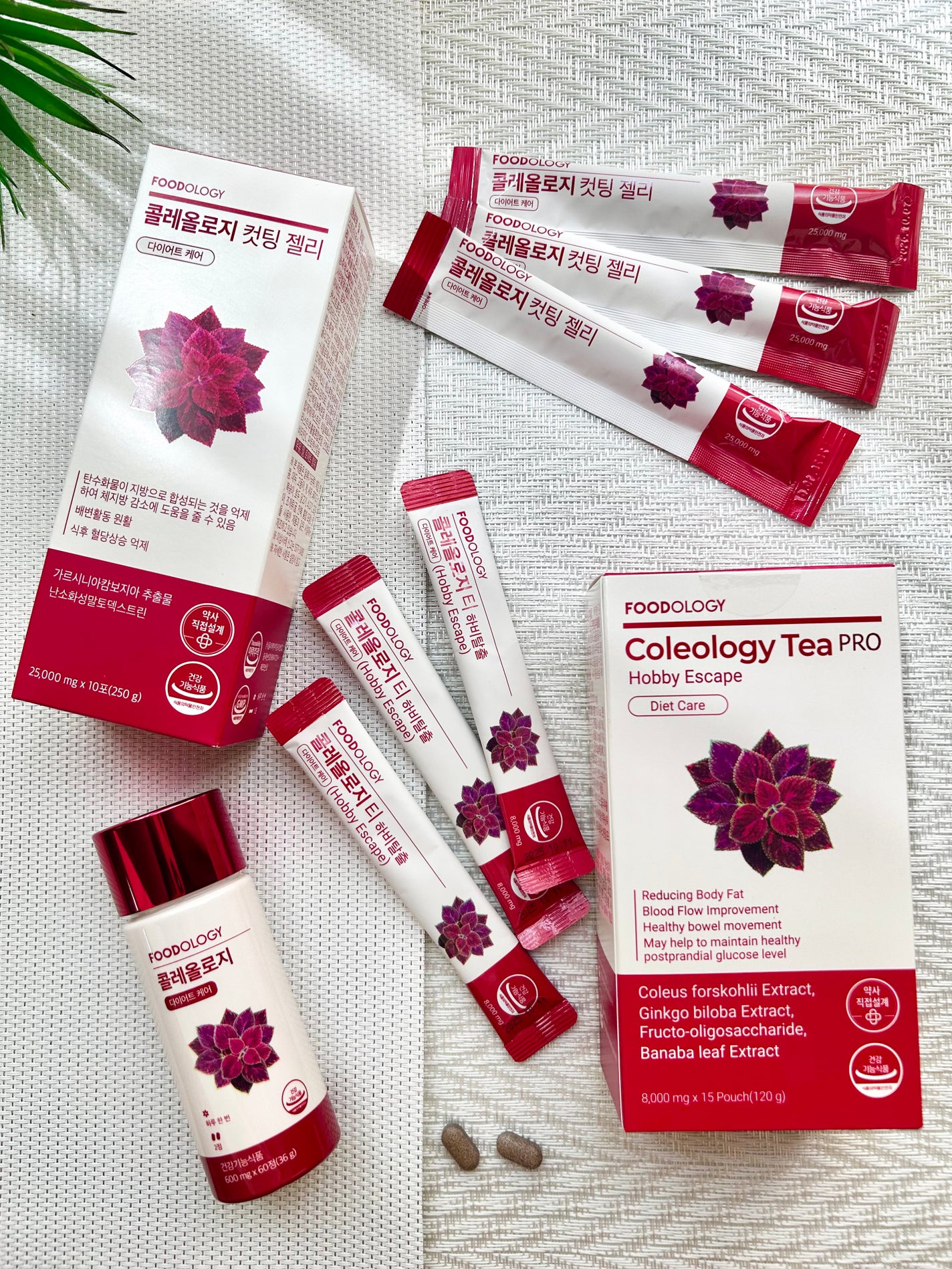 コレオロジーカットゼリー/FOODOLOGY/食品を使ったクチコミ(1枚目)