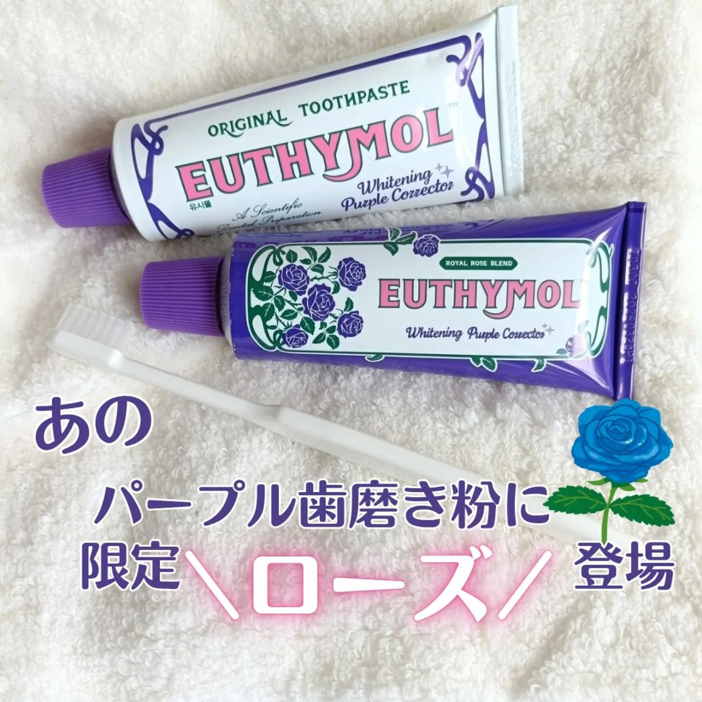 ホワイトニングパープルコレクター歯磨き粉/EUTHYMOL/その他を使ったクチコミ(1枚目)