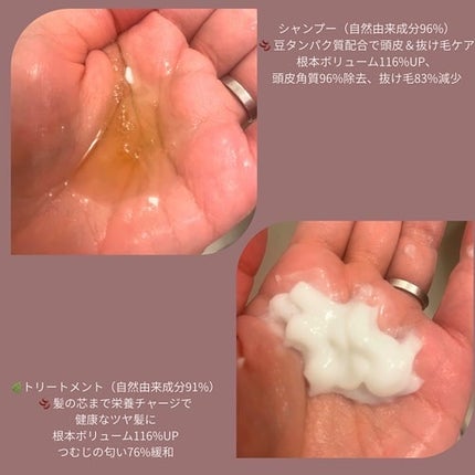 ヘトラス シャンプー&トリートメント/hetras/市販シャンプーを使ったクチコミ(2枚目)