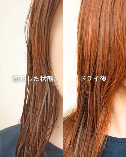 LPTケラチンリペア ノーウォッシュトリートメント/Daleaf/アウトバストリートメントを使ったクチコミ(4枚目)