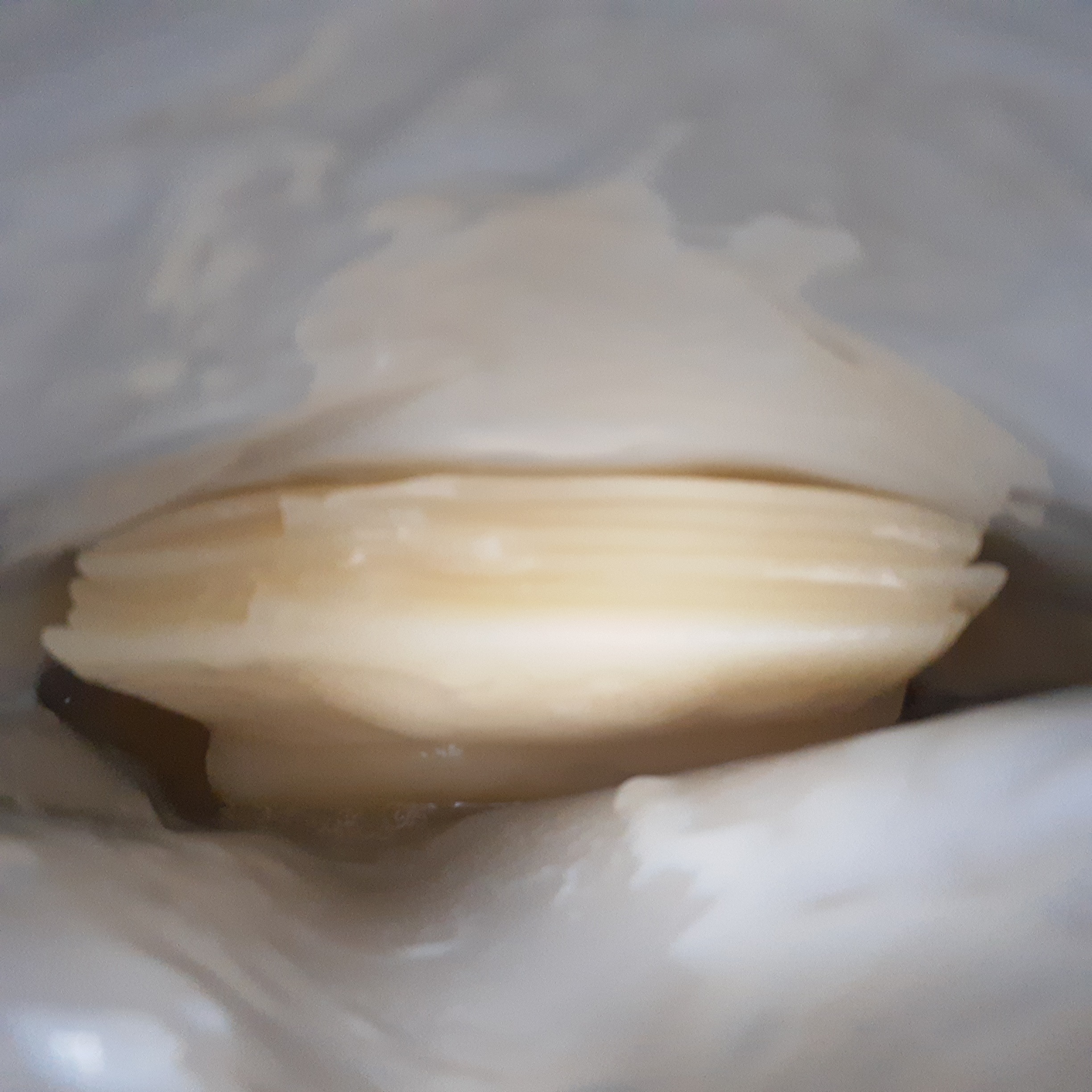 ごめんね素肌　いつのまにマスク/クリアターン/シートマスク・パックを使ったクチコミ（2枚目）