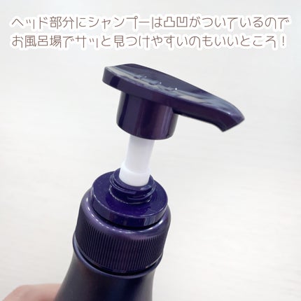 ãã¯ãµã¹ ã±ã©ãã£ãã¯ã¹ãªã㢠ã·ã£ã³ããŒ/ããªãŒãã¡ã³ã/NEXXUS(ãã¯ãµã¹)/åžè²©ã·ã£ã³ããŒã䜿ã£ãã¯ãã³ãïŒ4æç®ïŒ