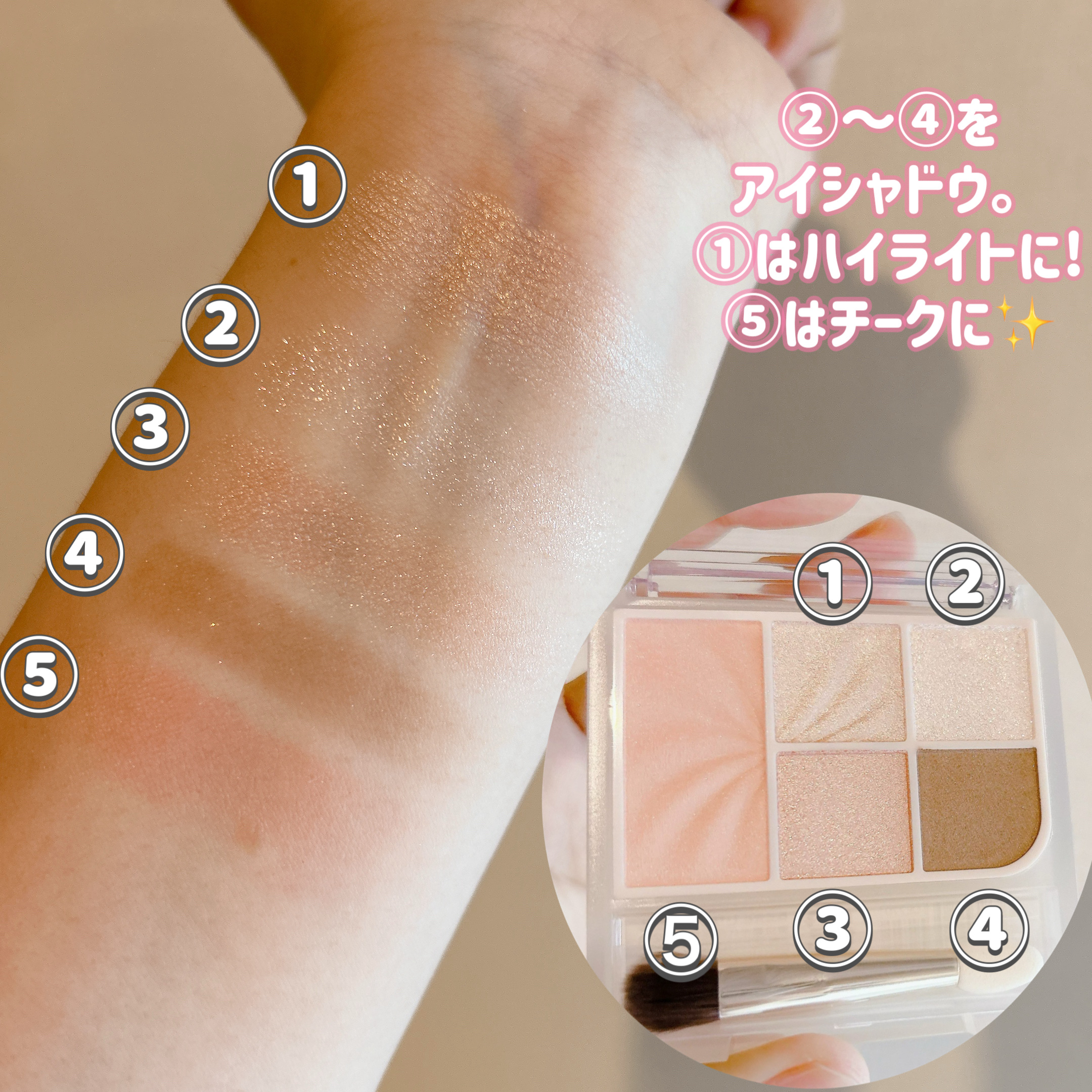 フェイスアイパレット/CEZANNE/アイシャドウを使ったクチコミ（2枚目）