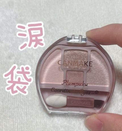 プランぷくコーデアイズ/キャンメイク/パウダーアイシャドウを使ったクチコミ(1枚目)
