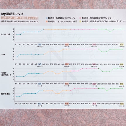 スネイルソリューション スキンブースター(R)/ネイチャーリパブリック/ブースター・導入液を使ったクチコミ(3枚目)