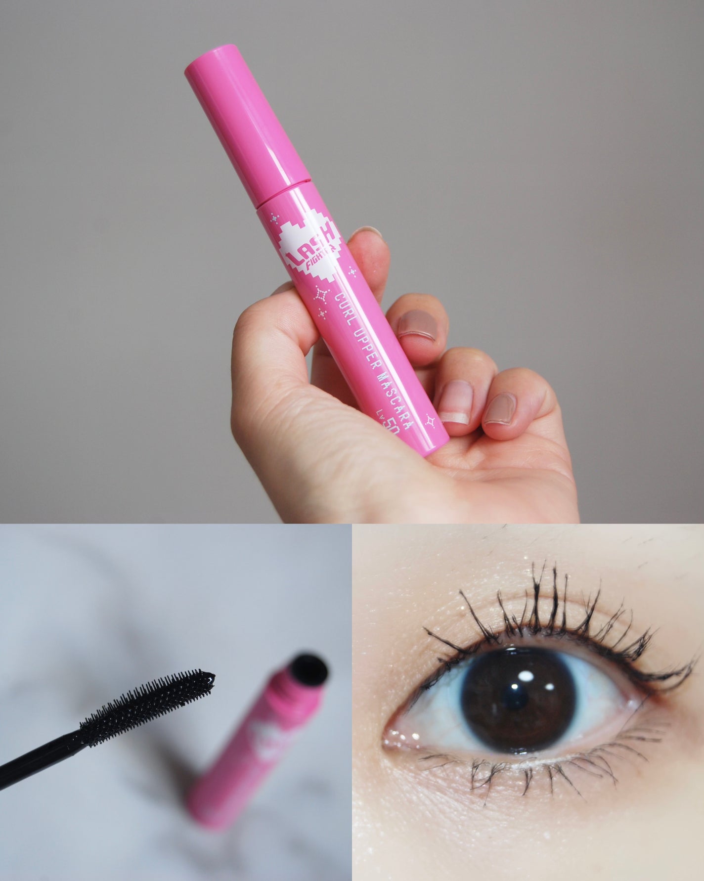 ã©ãã·ã¥ãã¡ã€ã¿ãŒãã«ãŒã«ã¢ãããŒãã¹ã«ã©ãLv50/ã©ãã·ã¥ãã¡ã€ã¿ãŒ/ãã¹ã«ã©ã䜿ã£ãã¯ãã³ãïŒ1æç®ïŒ