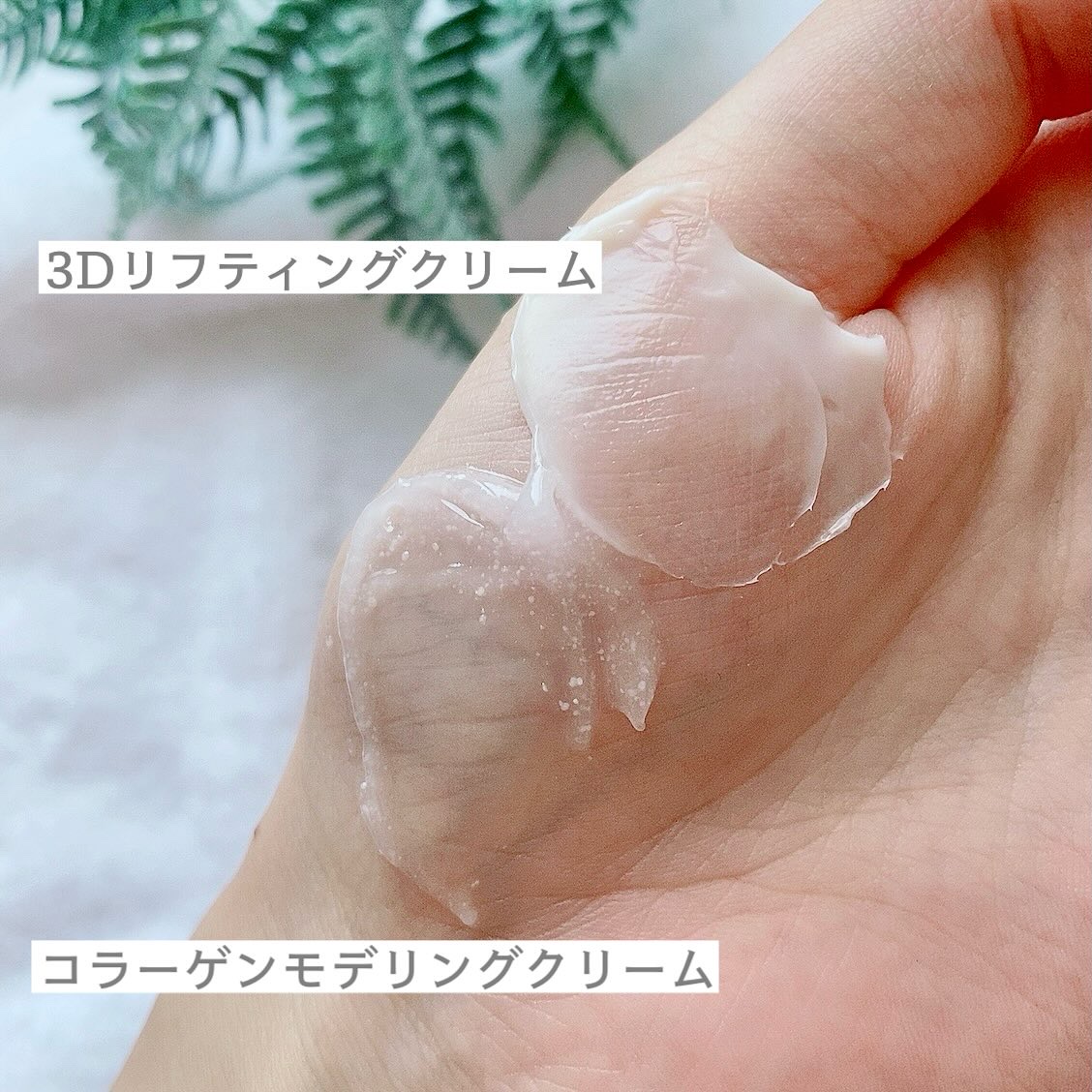 バイオヒールボ プロバイオダーム 3Dリフティングクリーム/BIOHEAL BOH/フェイスクリームを使ったクチコミ（3枚目）