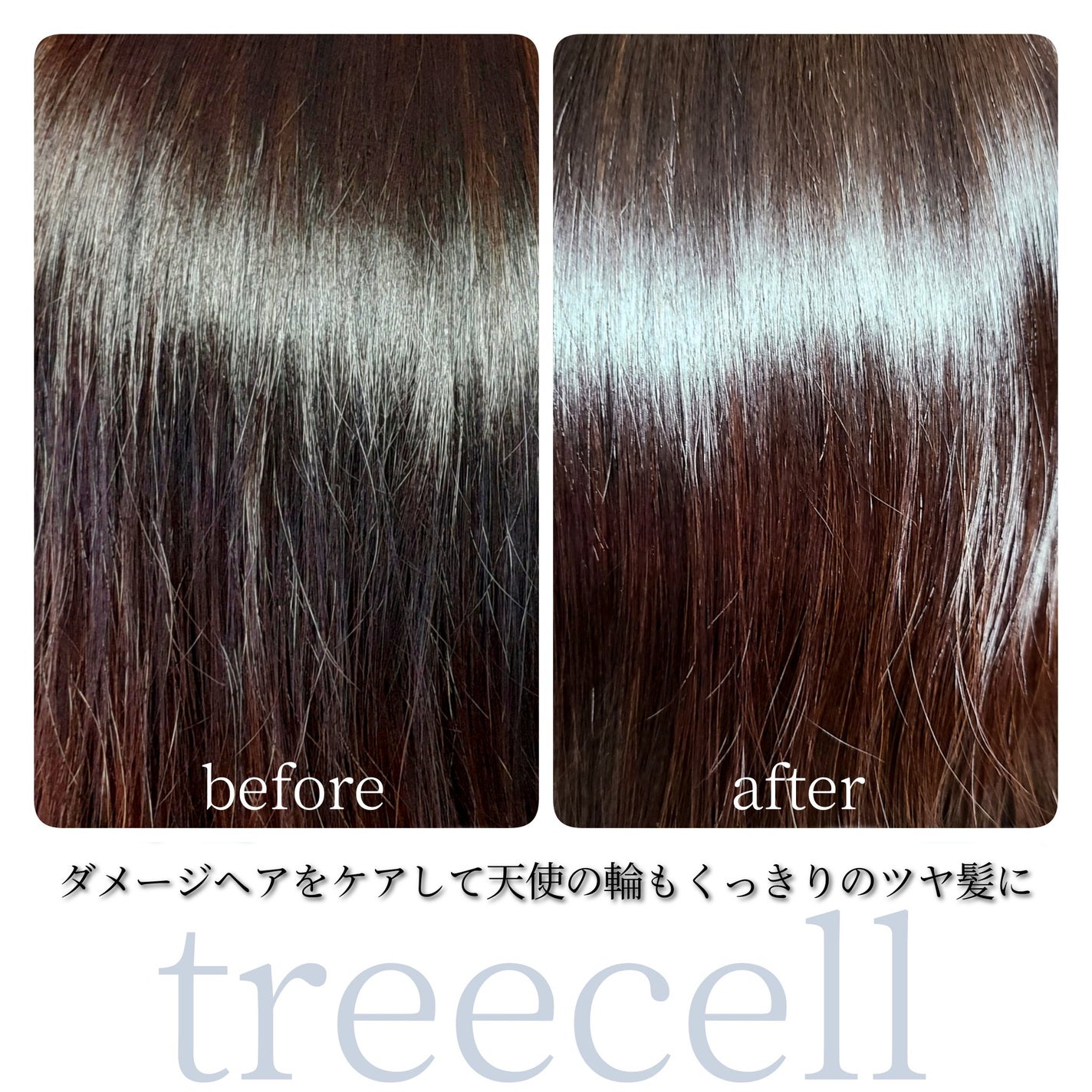 フォルテ アンプル トリートメント/treecell/洗い流すヘアトリートメントを使ったクチコミ(6枚目)