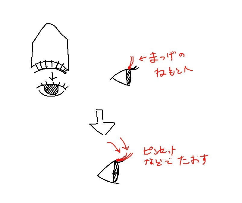 つけまつげクリップ/DAISO/つけまつげを使ったクチコミ(3枚目)