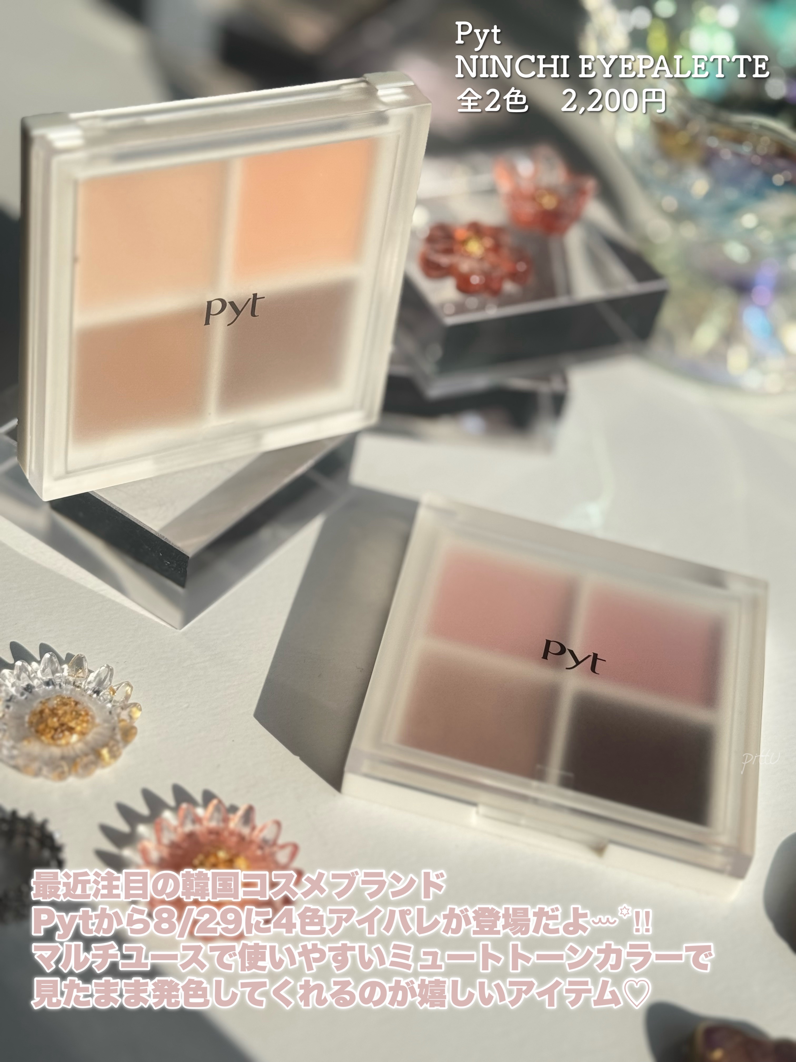 NINCHI EYEPALETTE/Pyt/アイシャドウパレットを使ったクチコミ（2枚目）
