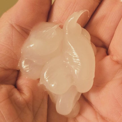 モイストブーストシャンプー/モイストブーストトリートメント/MEMEME/市販シャンプーを使ったクチコミ(6枚目)