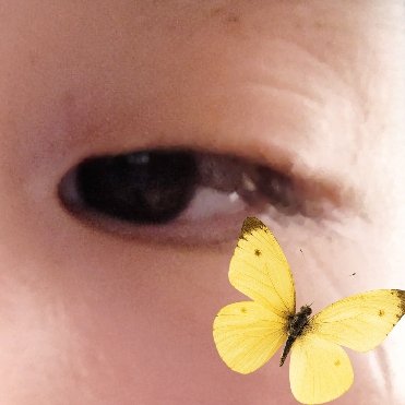 アイラッシュカーラー ナチュラルタイプ/キャンドゥ/ビューラーを使ったクチコミ（2枚目）