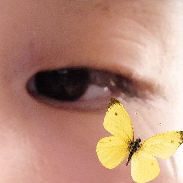 アイラッシュカーラー ナチュラルタイプ/キャンドゥ/ビューラーを使ったクチコミ(2枚目)