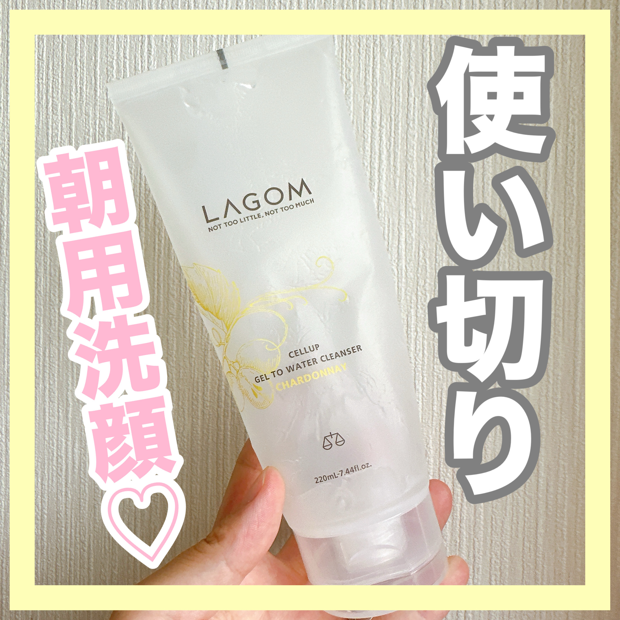 ジェルトゥウォーター クレンザー（CH）/LAGOM /その他洗顔料を使ったクチコミ（1枚目）