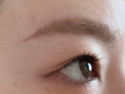 淡眉コンシーラー/シークレットサロン/眉マスカラを使ったクチコミ(3枚目)