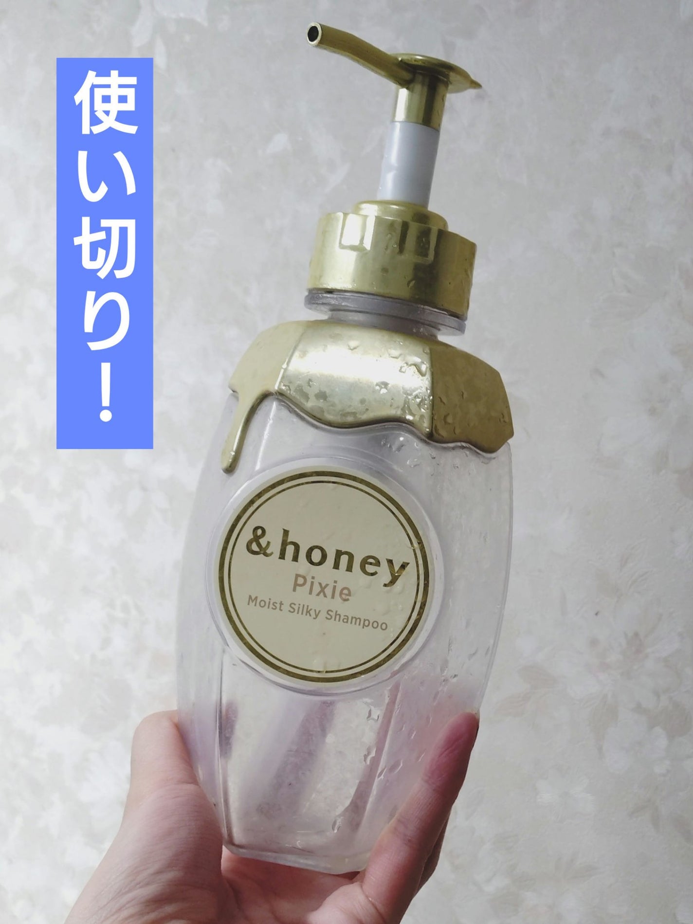 ã¢ã³ããã㌠ãã¯ã·ãŒ ã¢ã€ã¹ãã·ã«ã㌠ã·ã£ã³ããŒ1.0/ãã¢ããªãŒãã¡ã³ã2.0/&honey/åžè²©ã·ã£ã³ããŒã䜿ã£ãã¯ãã³ãïŒ1æç®ïŒ