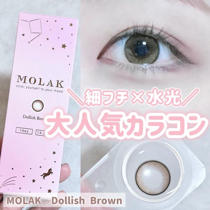MOLAK 1day ドーリッシュブラウン/MOLAK/ワンデー(1DAY)カラコンの画像