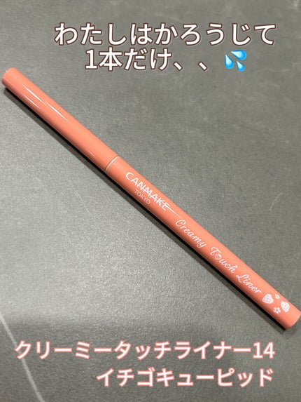 クリーミータッチライナー/キャンメイク/ジェルアイライナーを使ったクチコミ(2枚目)