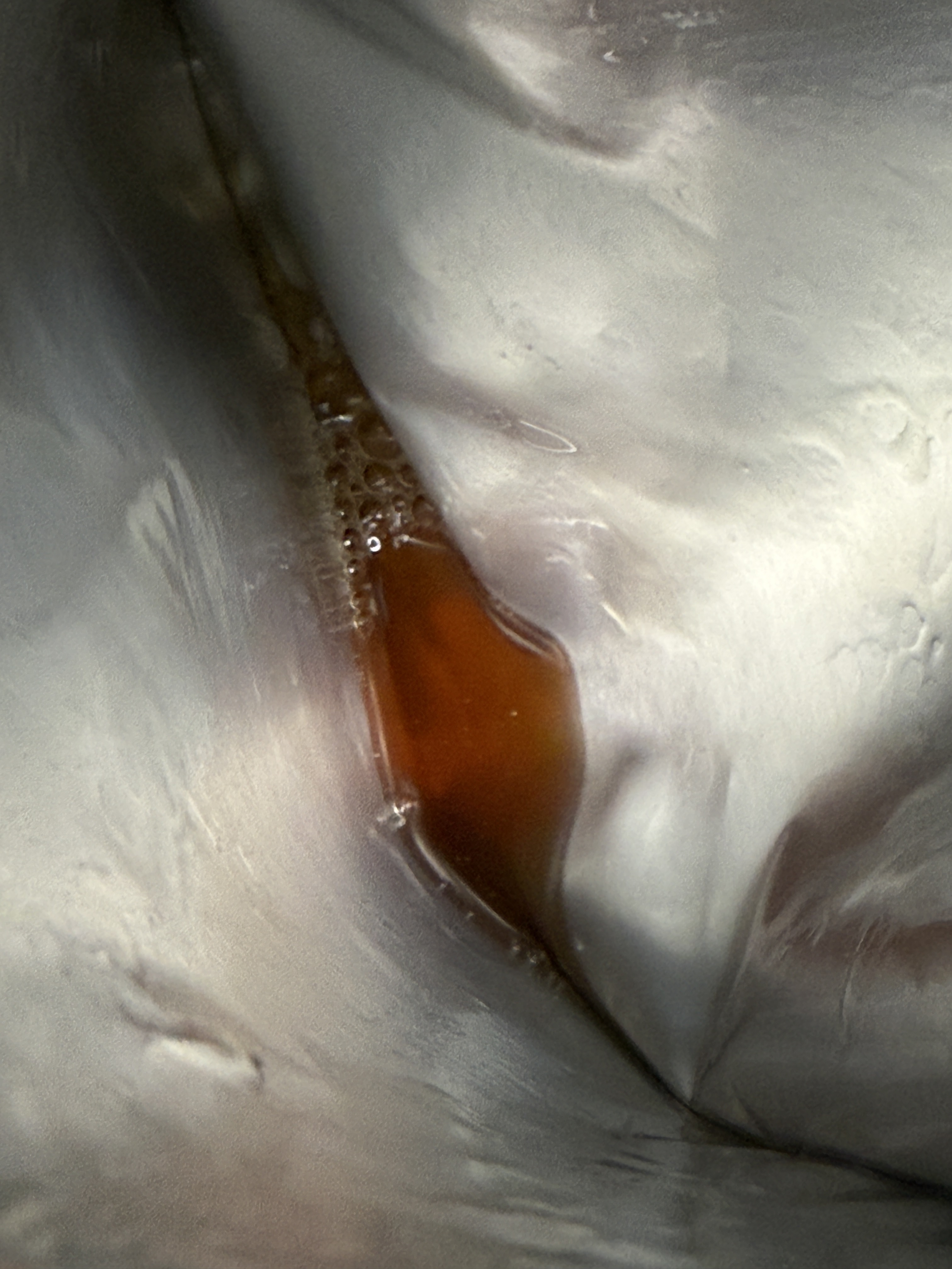 4番 ひんやりクーリングシートマスク/numbuzin/シートマスク・パックを使ったクチコミ（3枚目）