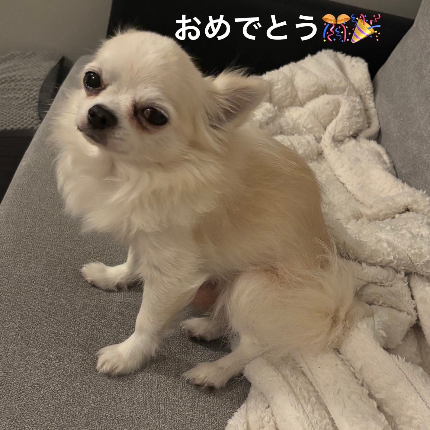 カラフルネイルズ/キャンメイク/マニキュアを使ったクチコミ(7枚目)