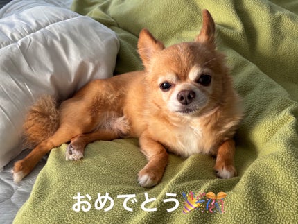 カラフルネイルズ N116 DJナイト/キャンメイク/マニキュアの画像