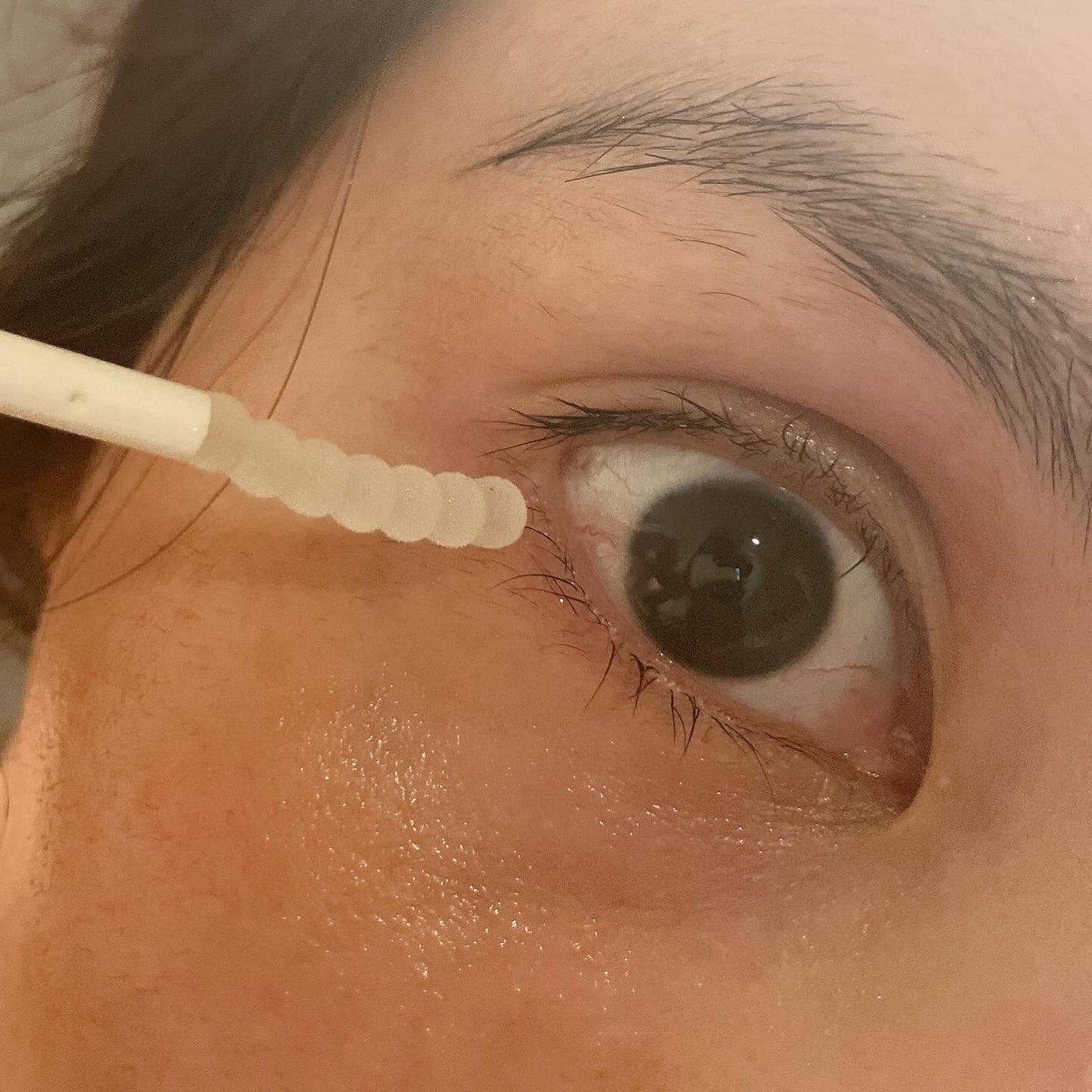 ラッシュジェリードロップ EX プレミアム/MAJOLICA MAJORCA/まつげ美容液を使ったクチコミ(3枚目)