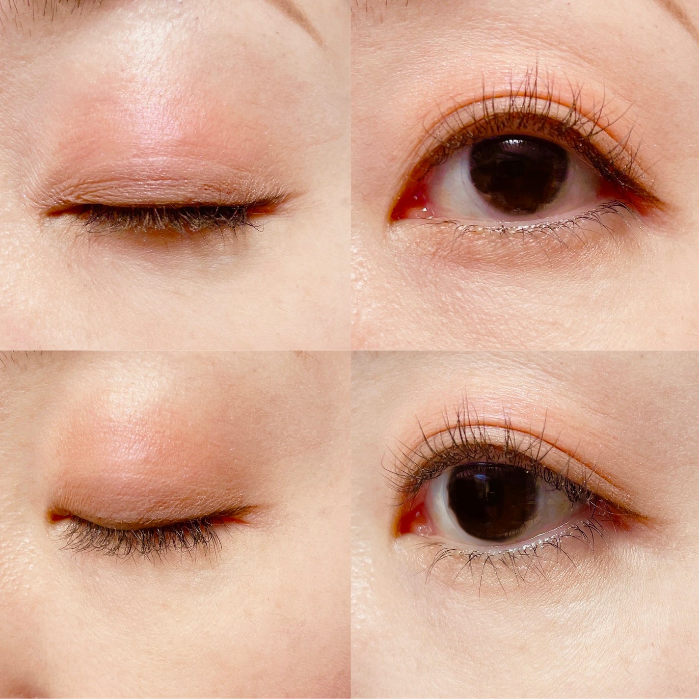 アヴァンセ アイフルール パレット/アヴァンセ/アイシャドウパレットを使ったクチコミ(5枚目)