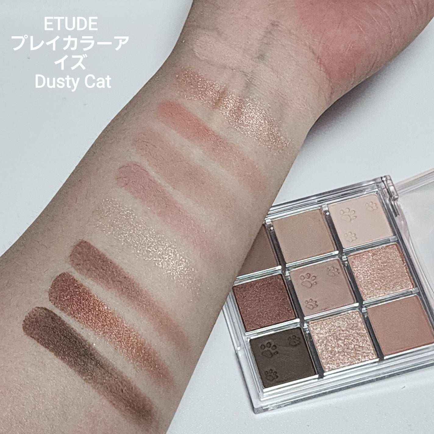 エクスプローラ12色 動物アイシャドウパレット/PERFECT DIARY/アイシャドウパレットを使ったクチコミ(6枚目)