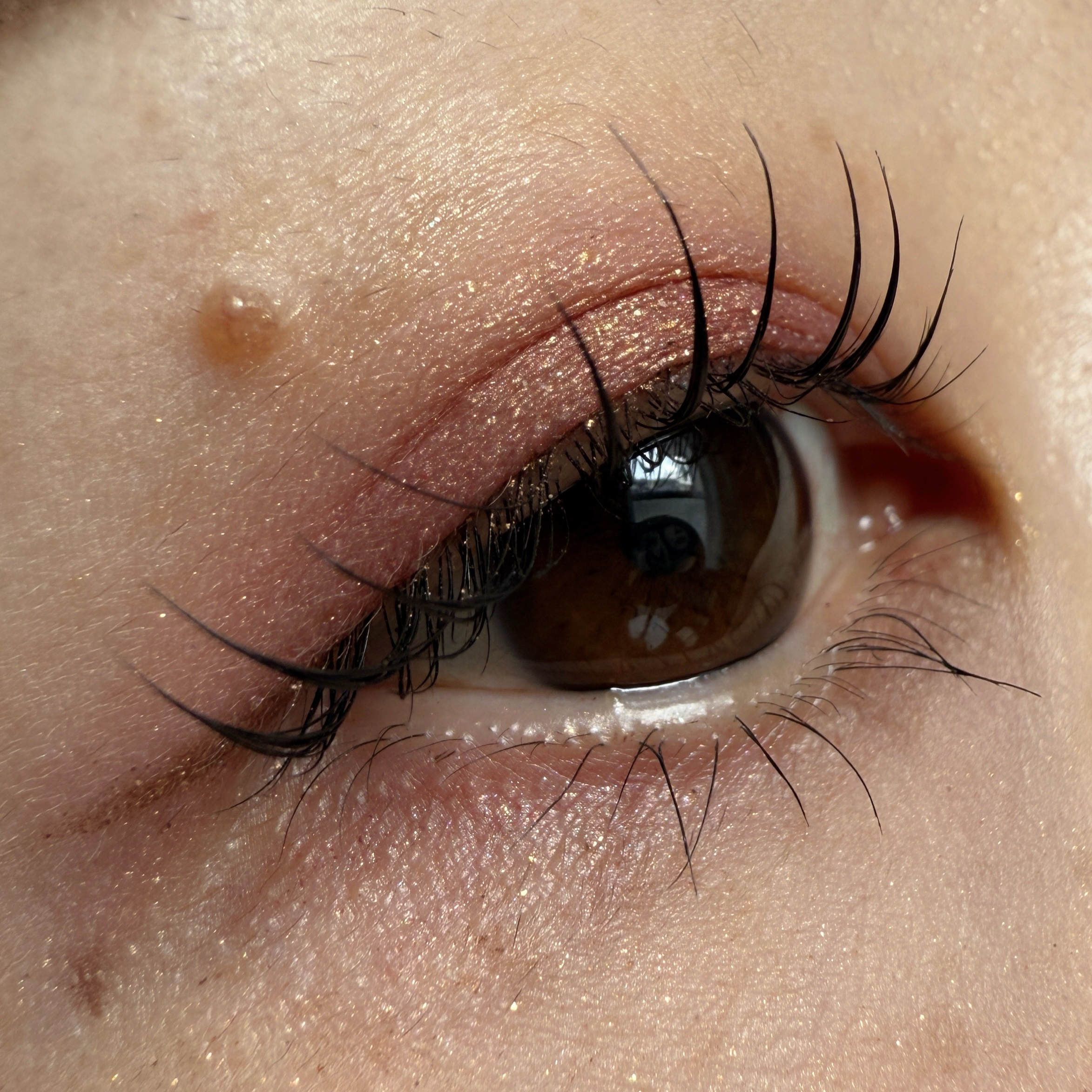 グッチ パレット ドゥ ボーテ クアチュオール/GUCCI beauty/マルチパレットを使ったクチコミ（1枚目）