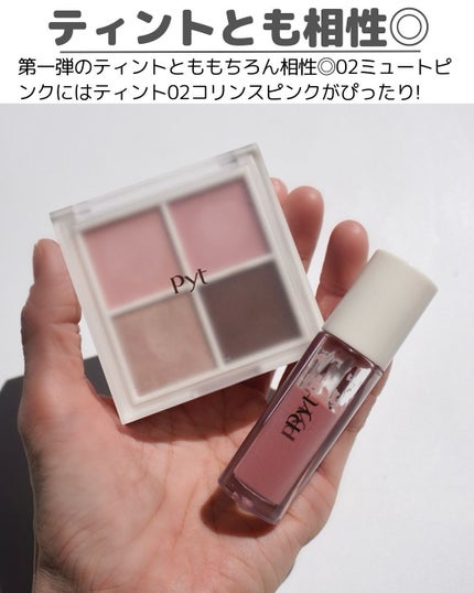 NINCHI EYEPALETTE/Pyt/アイシャドウパレットを使ったクチコミ(8枚目)