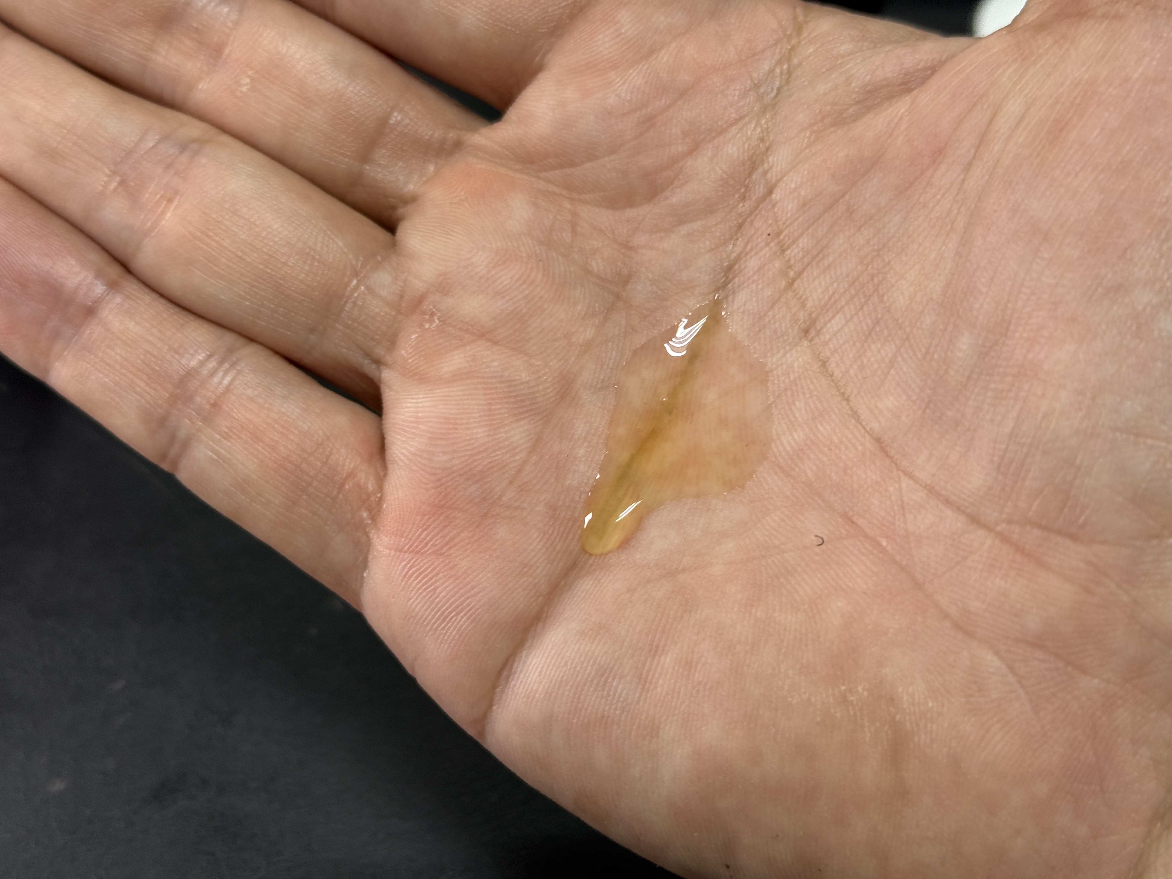 ボタニスト サンタル リペアヘアオイル/BOTANIST/ヘアオイルを使ったクチコミ（2枚目）