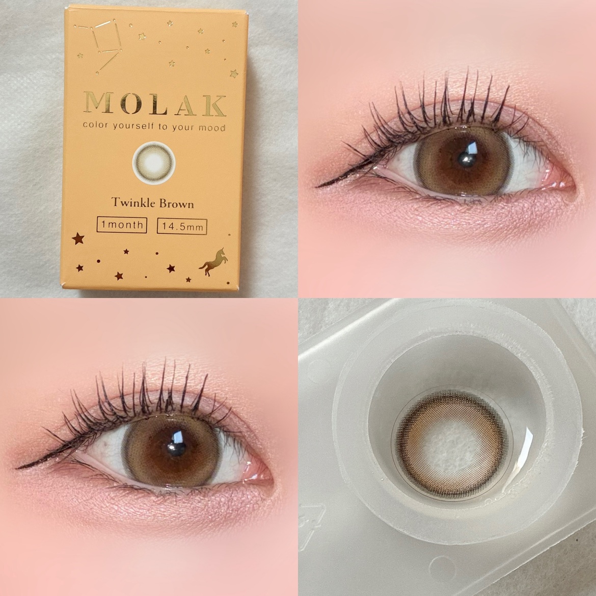 MOLAK 1month トゥインクルブラウン/MOLAK/１ヶ月（１MONTH）カラコンを使ったクチコミ（1枚目）