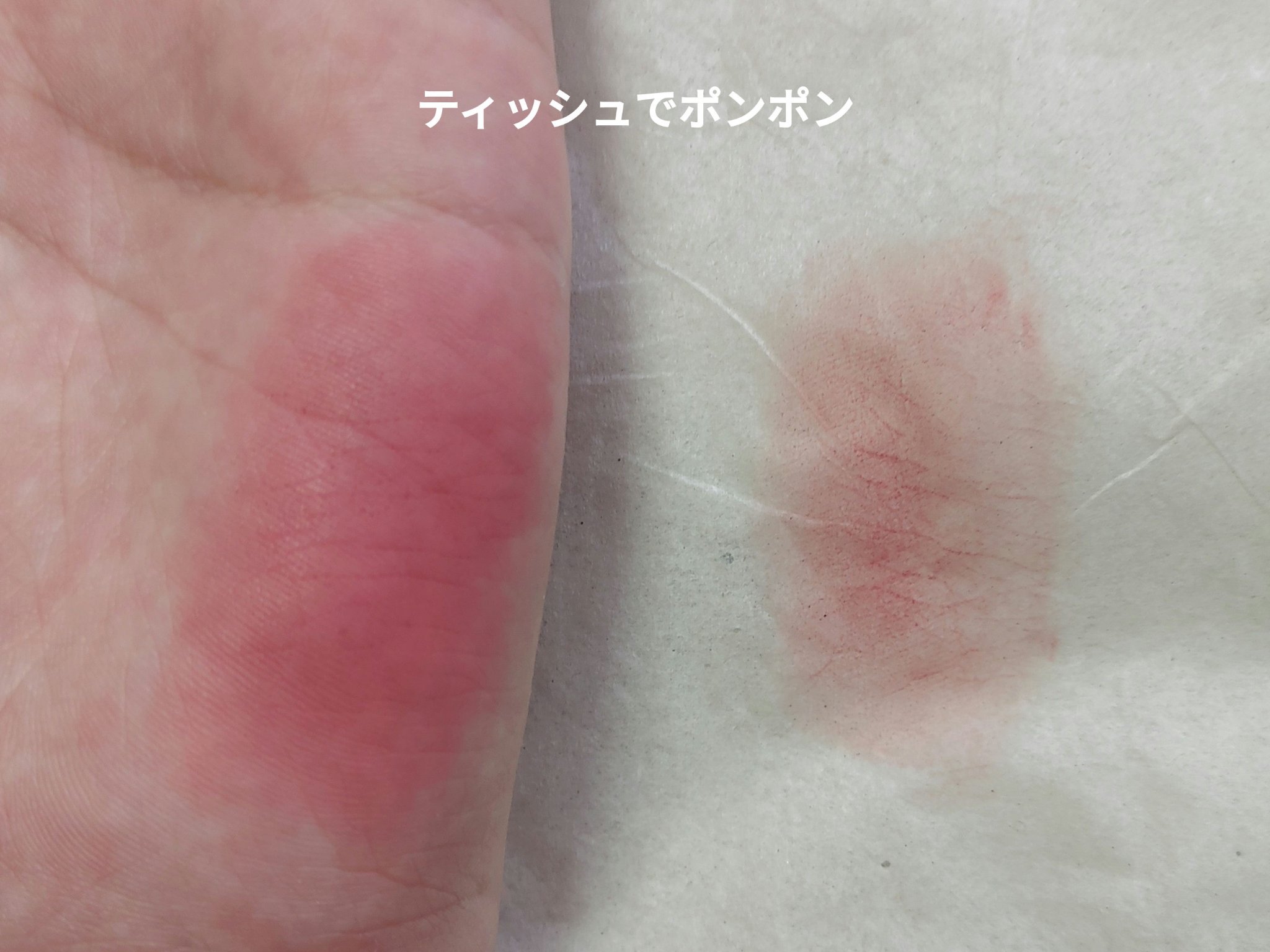 rom&nd ブラーファッジティント 13 クーリングアップ(COOLING UP)/rom&nd/リップティントを使ったクチコミ（3枚目）