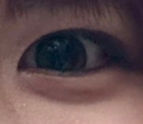 せかいのふるーりー/Flurry by colors/ワンデー(1DAY)カラコンを使ったクチコミ(2枚目)