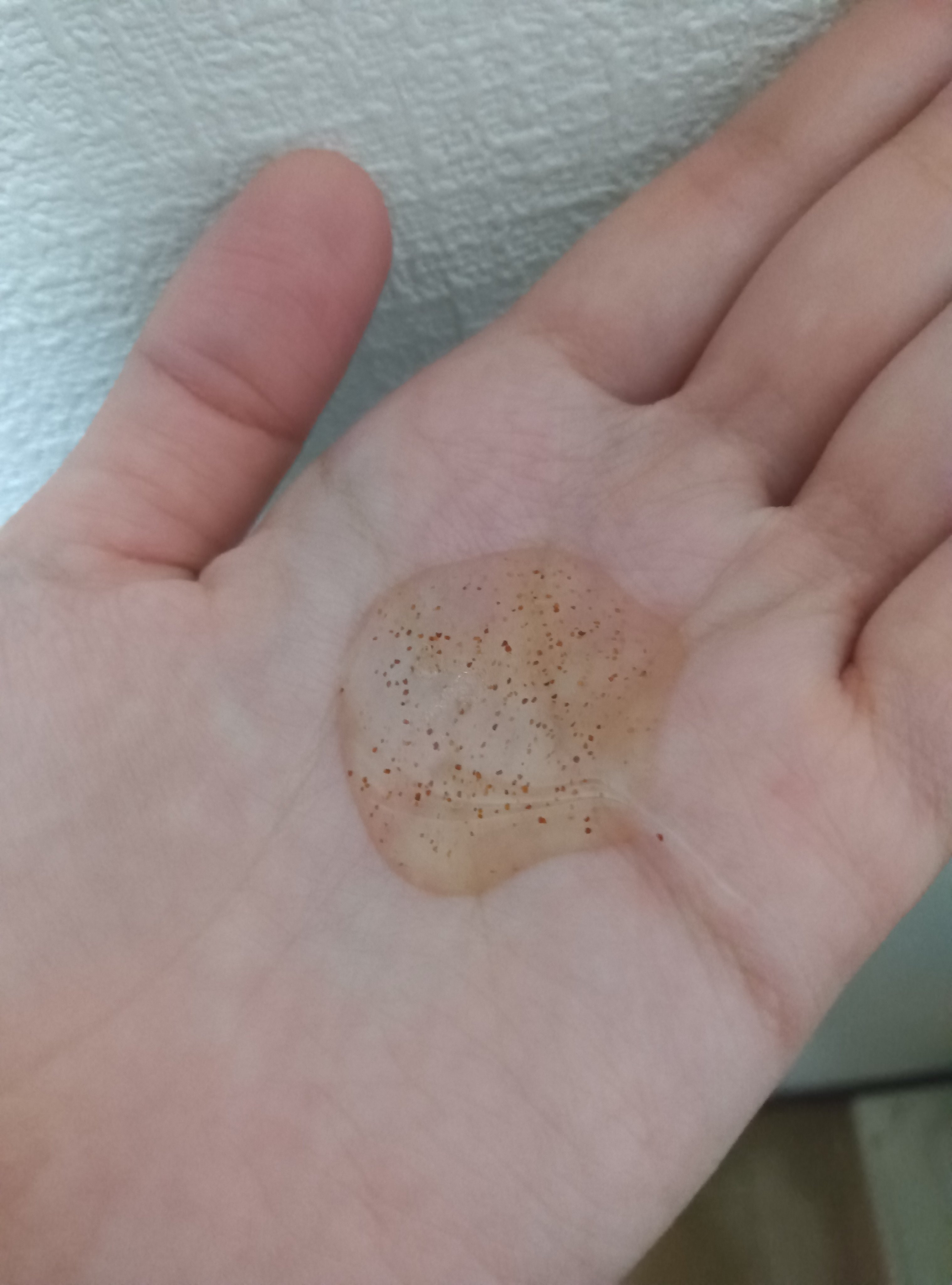 ジョイココ スクラブハンドソープ ミンティーサボン/Joy.coco(ジョイココ)/ハンドソープを使ったクチコミ（2枚目）