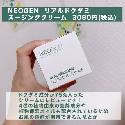 リアルドクダミスージングデイリーマスク/NEOGEN/シートマスク・パックを使ったクチコミ(2枚目)