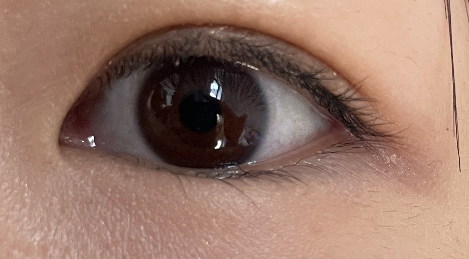 大人のルドゥーブル/ルドゥーブル/二重まぶた用アイテムを使ったクチコミ（2枚目）