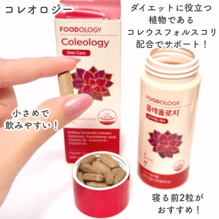 コレオロジーカットゼリー/FOODOLOGY/食品を使ったクチコミ(3枚目)