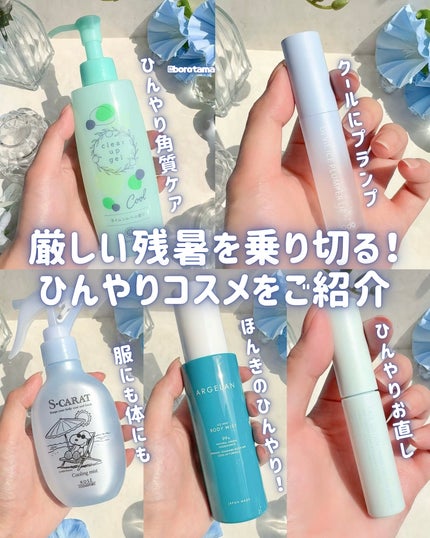 エテュセ ポアレスプライマー クール/ettusais/化粧下地を使ったクチコミ(2枚目)