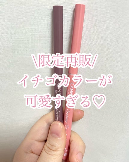 クリーミータッチライナー/キャンメイク/ジェルアイライナーを使ったクチコミ(1枚目)