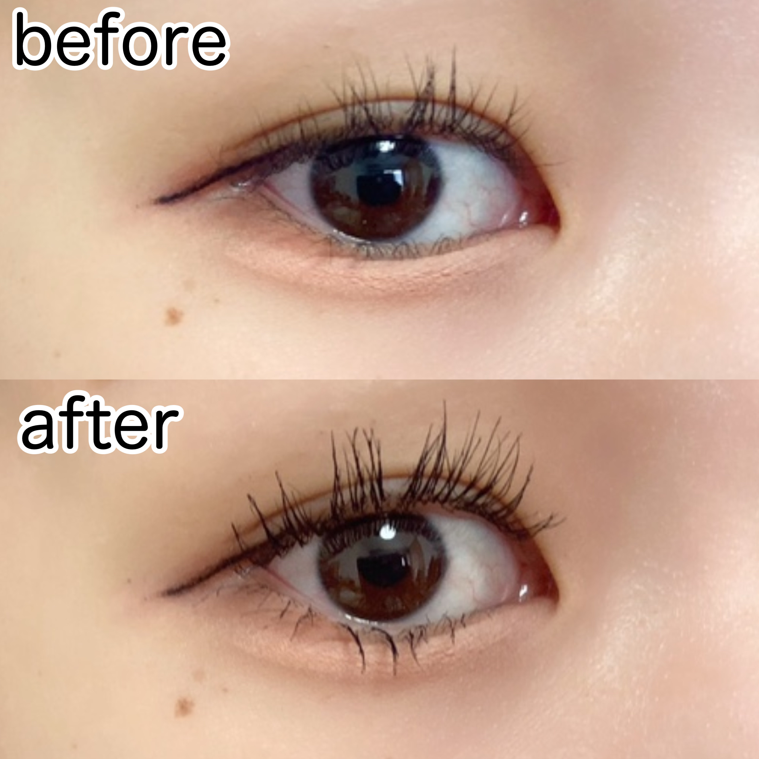 アイコニックロングマスカラ/Milk Touch/マスカラを使ったクチコミ（2枚目）