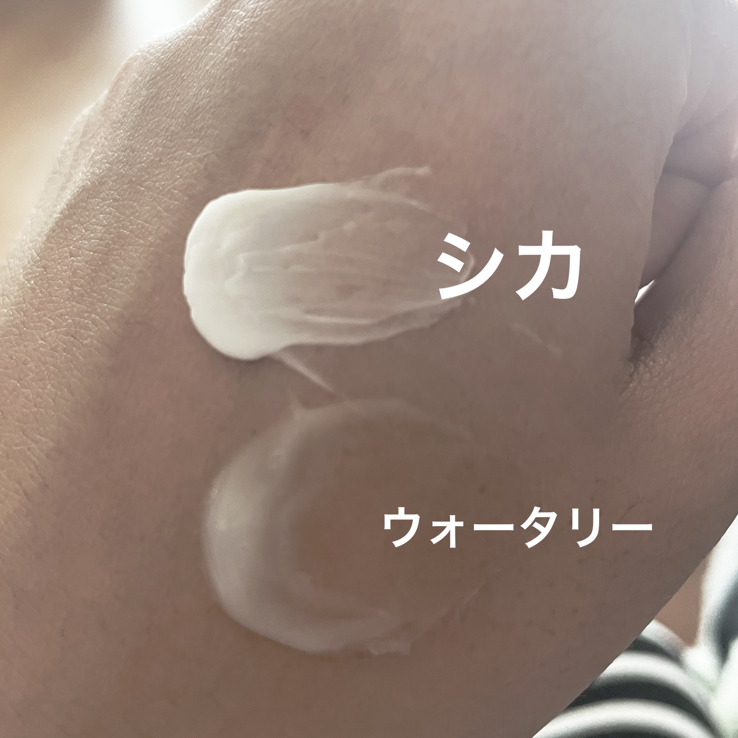 シカスリーピングマスク N/LANEIGE/フェイスクリームを使ったクチコミ（3枚目）