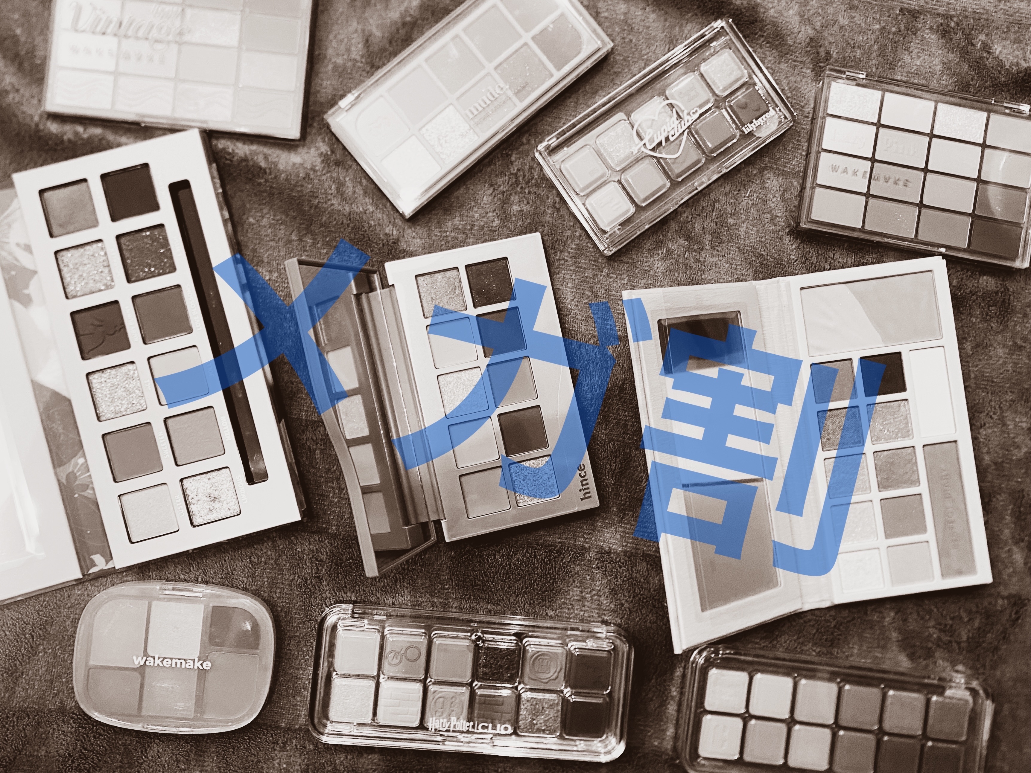 エクスプローラ12色 動物アイシャドウパレット/PERFECT DIARY/アイシャドウパレットを使ったクチコミ（1枚目）