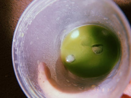 NADESHIKOプロテイン/NADESHIKO PROTEIN/その他プロテインを使ったクチコミ(5枚目)