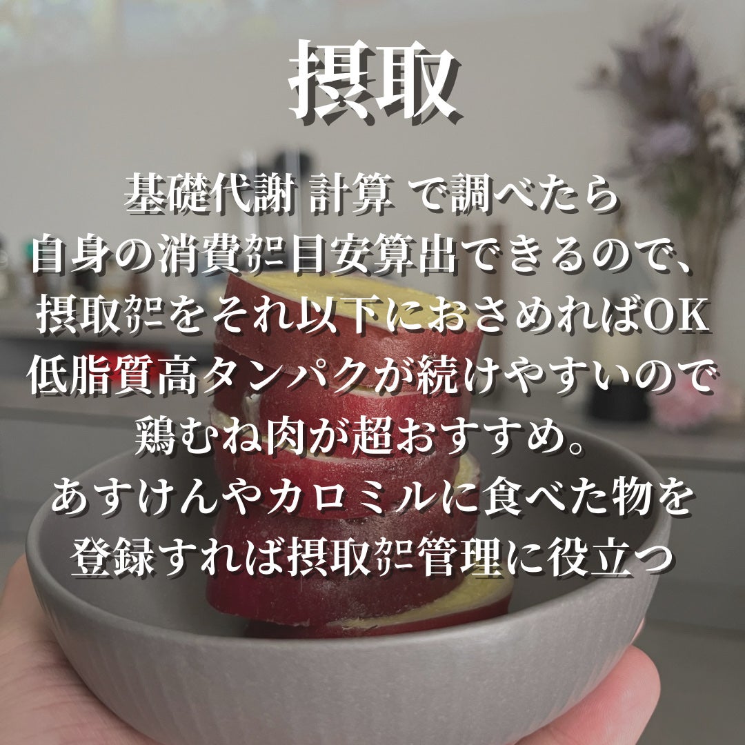 ã¹ã·ãã ð£ on LIPS ããæ¥œããŠç©ãããã¿ã€ãã«ã®èšèã«ããé£ã³ã€ã人ããã€ãšãã倱æ..ãïŒ3æç®ïŒ