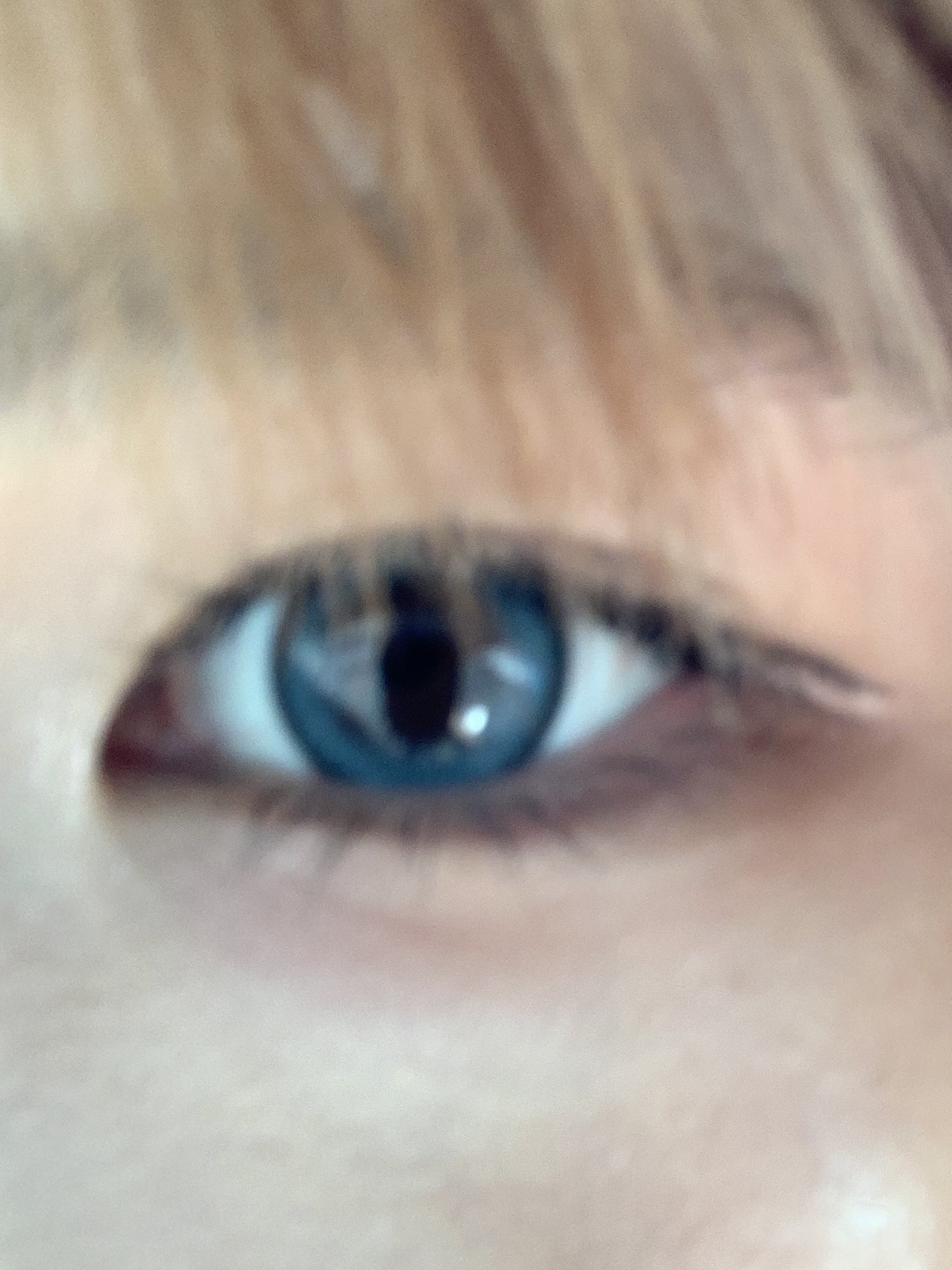 せかいのふるーりー/Flurry by colors/ワンデー（１DAY）カラコンを使ったクチコミ（2枚目）