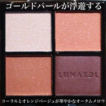 ルナソル アイカラーレーションN/LUNASOL/アイシャドウパレットを使ったクチコミ(3枚目)