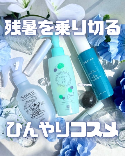 エテュセ ポアレスプライマー クール/ettusais/化粧下地を使ったクチコミ(1枚目)