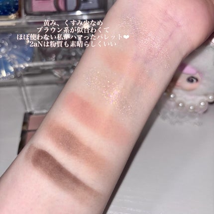 ベターミーアイパレット/2aN/マルチパレットを使ったクチコミ(4枚目)